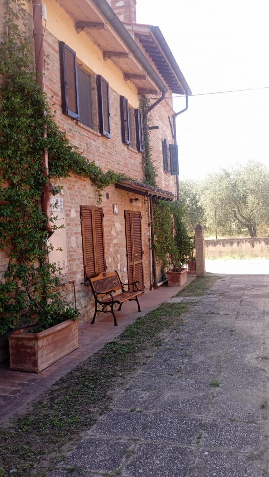 Agriturismo La Pergola Castiglione del Lago Eksteriør bilde